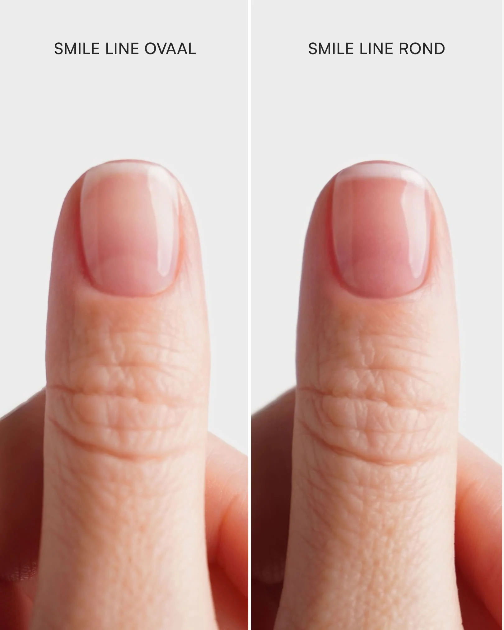 French Manicure Dippingvorm - Image 5