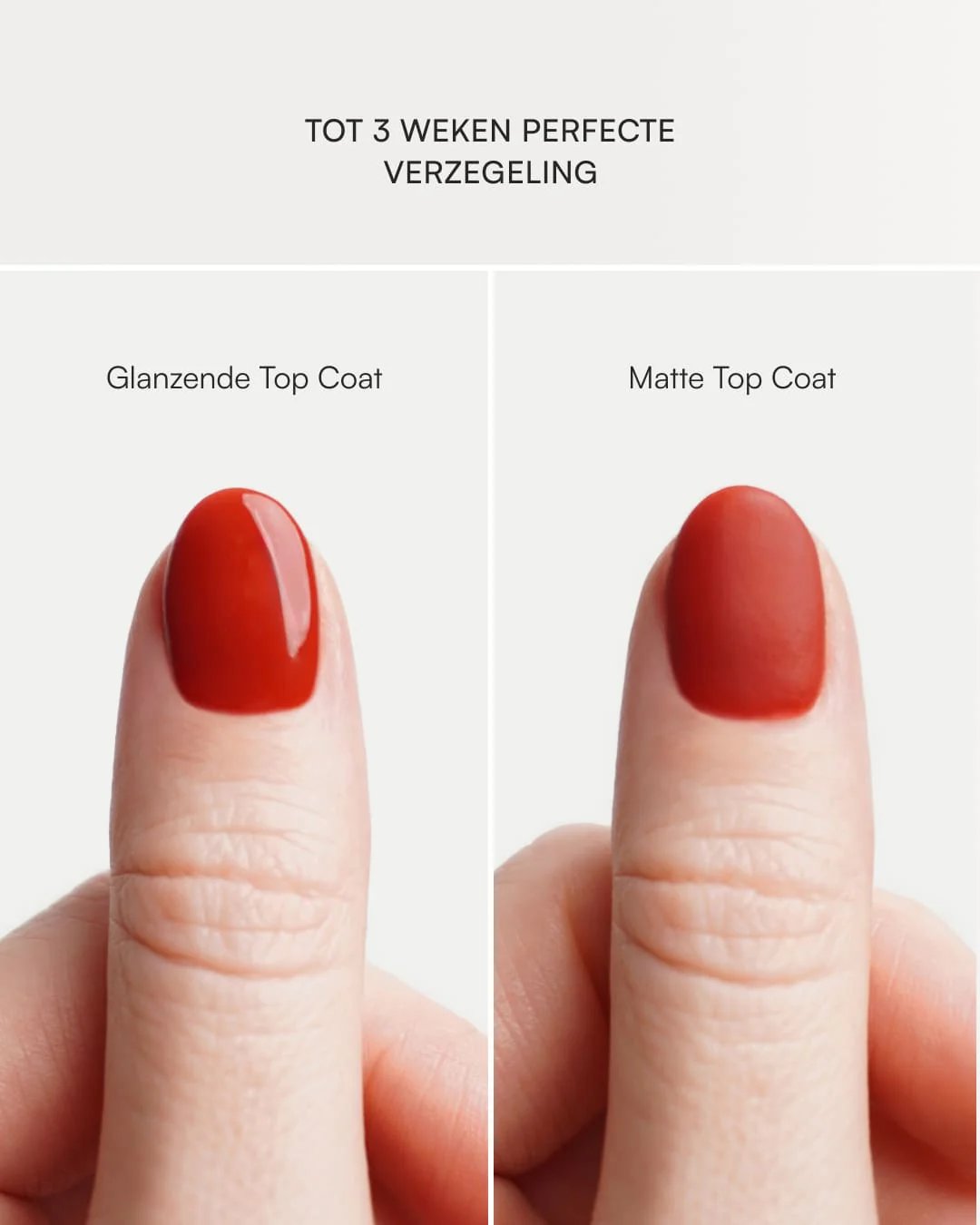 Matte Top Coat - Image 6