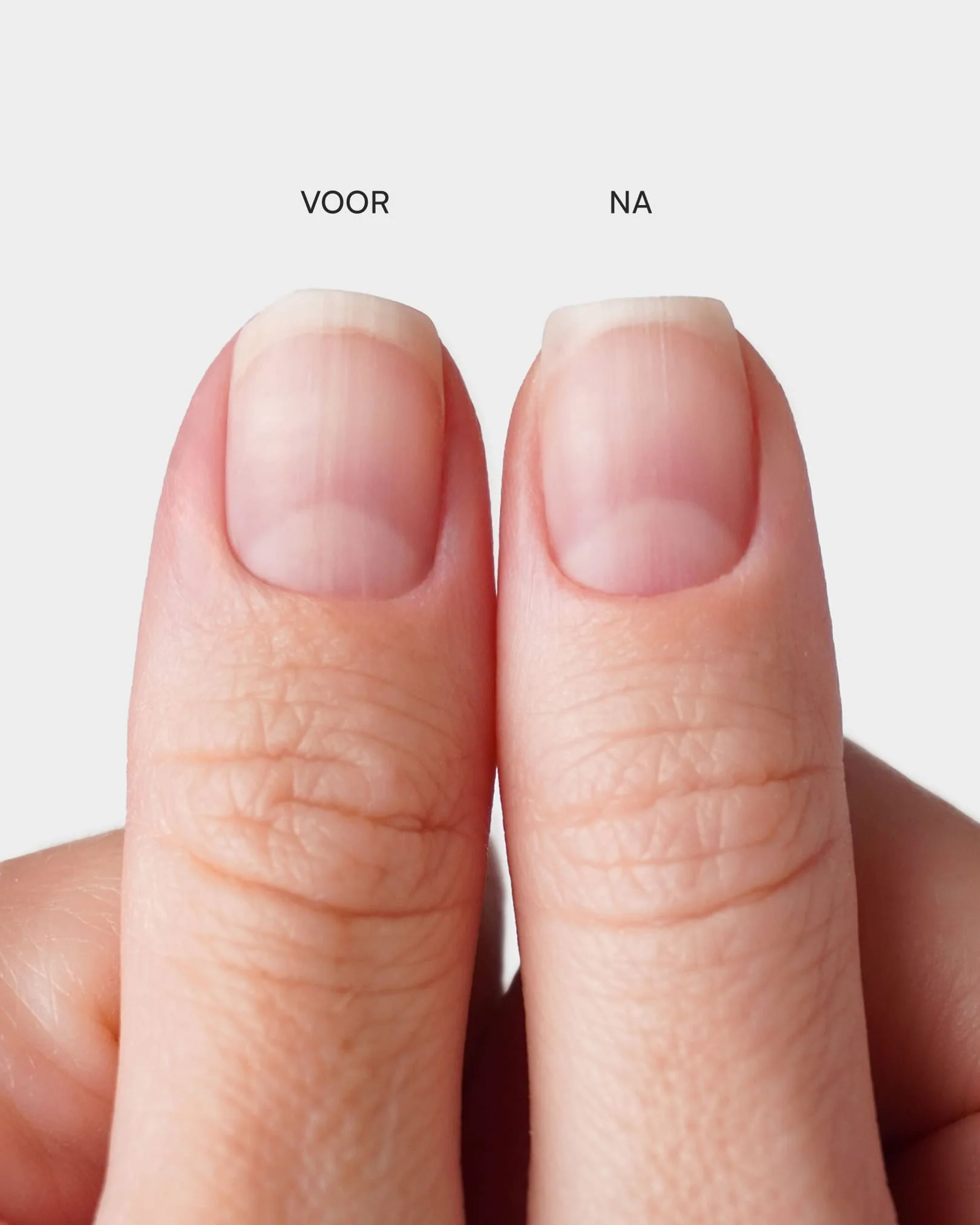 Premium Halfmoon Vijlen - Image 5